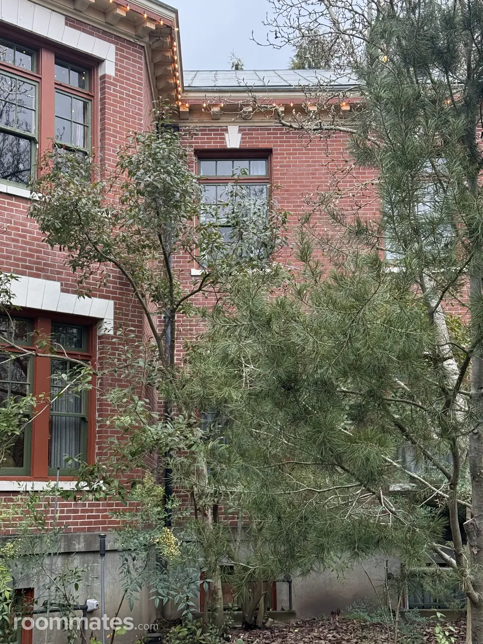 Profile photo 3 of 8