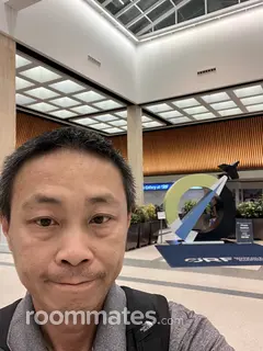 Roommate looking Norfolk, VA, $800