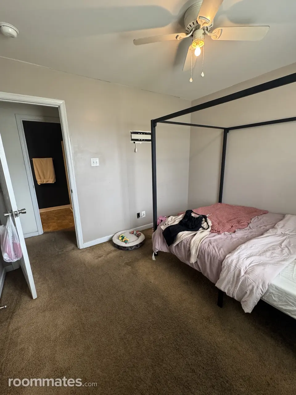 Profile photo 4 of 12