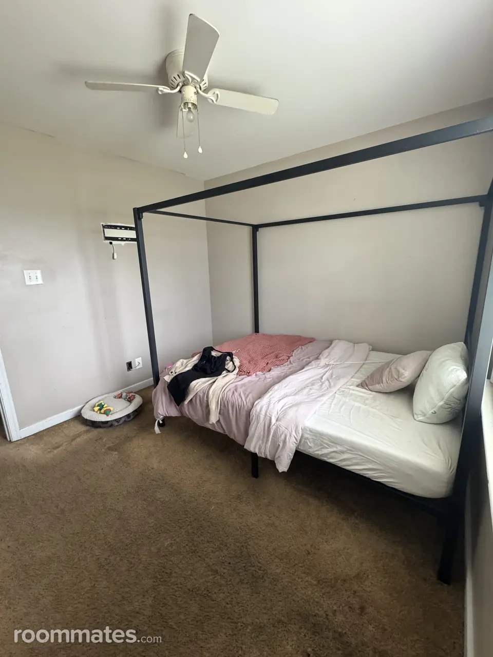 Profile photo 1 of 12