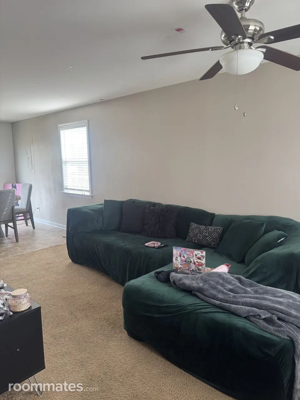 Profile photo 7 of 12