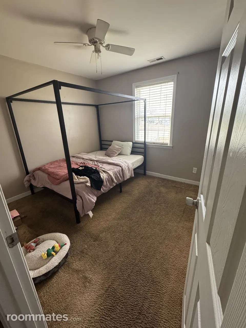 Profile photo 3 of 12