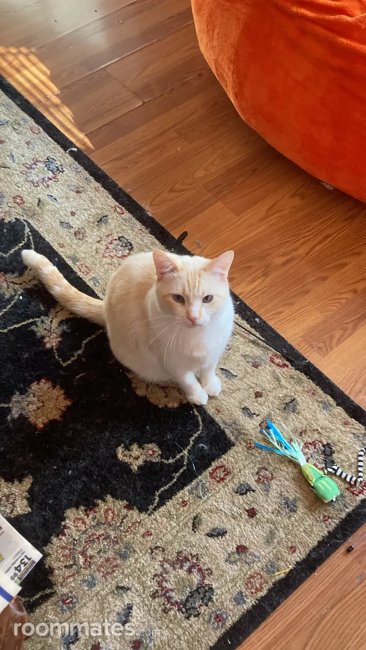 Profile photo 2 of 2