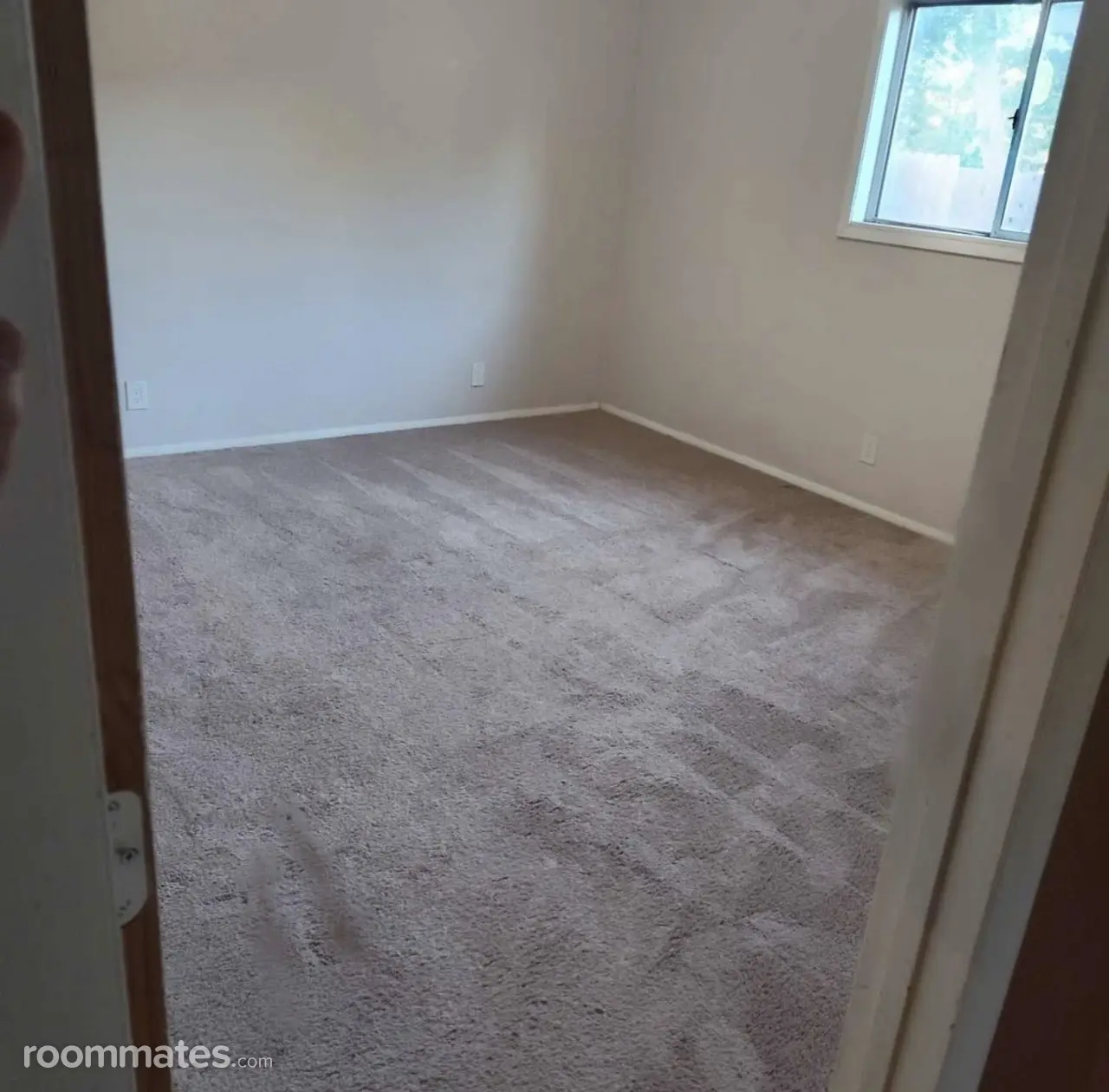 Profile photo 2 of 4