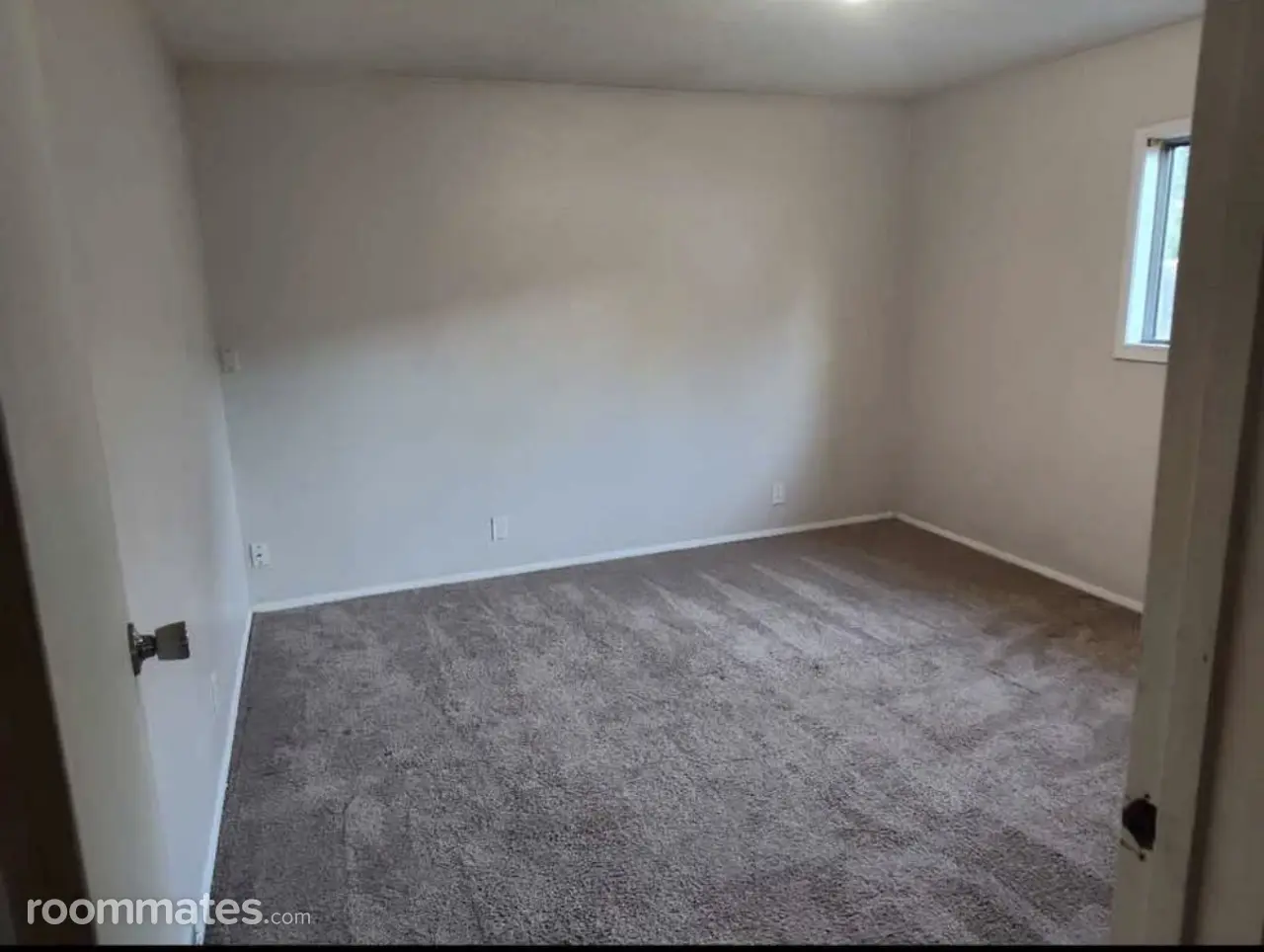 Profile photo 4 of 4