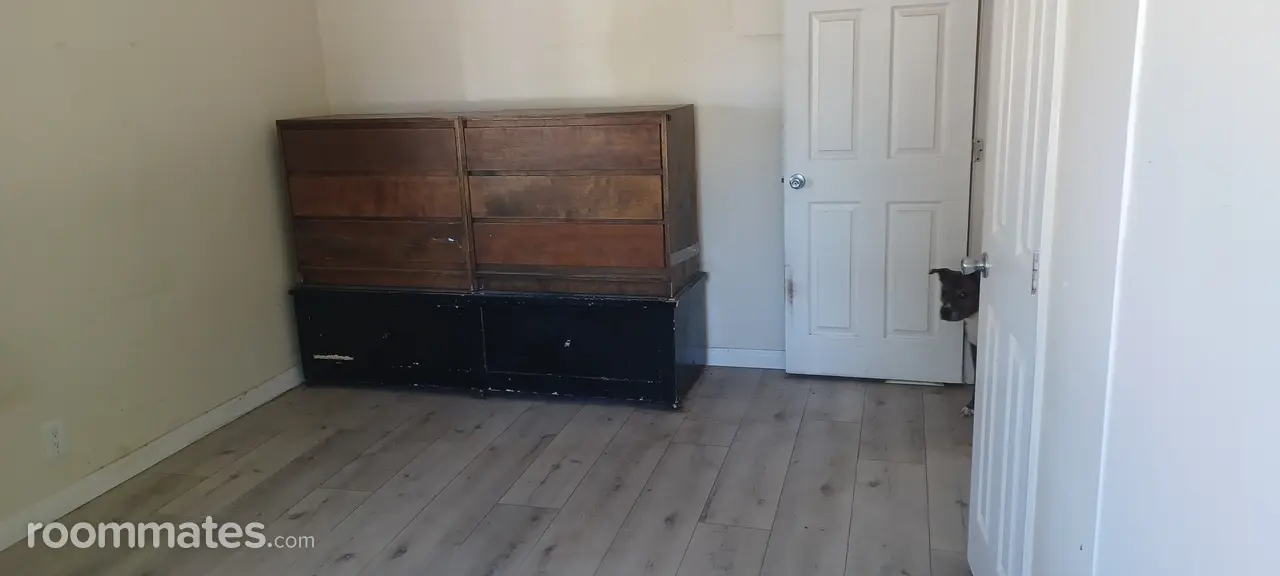 Profile photo 1 of 9