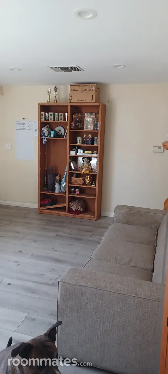 Profile photo 8 of 9