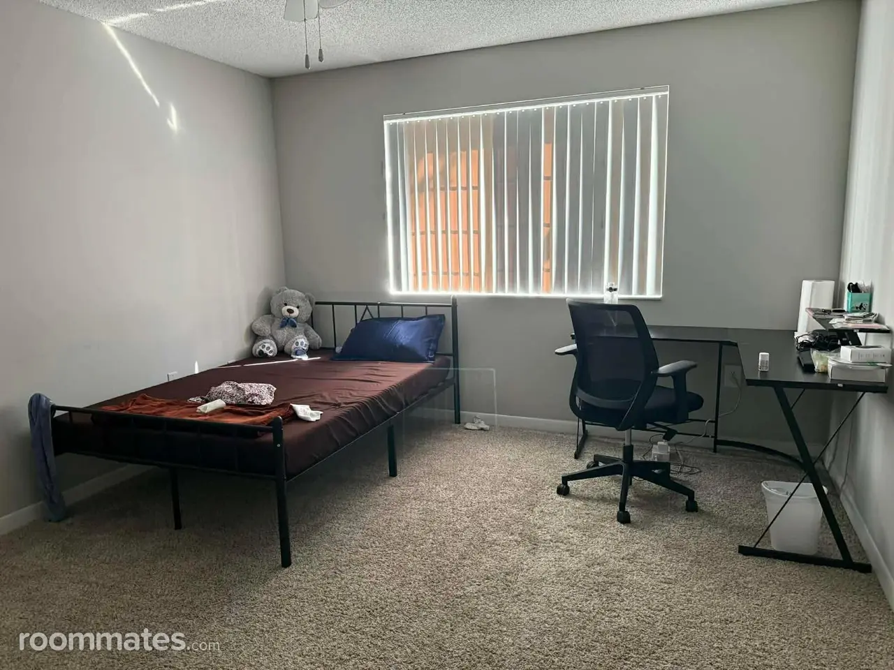 Profile photo 4 of 13