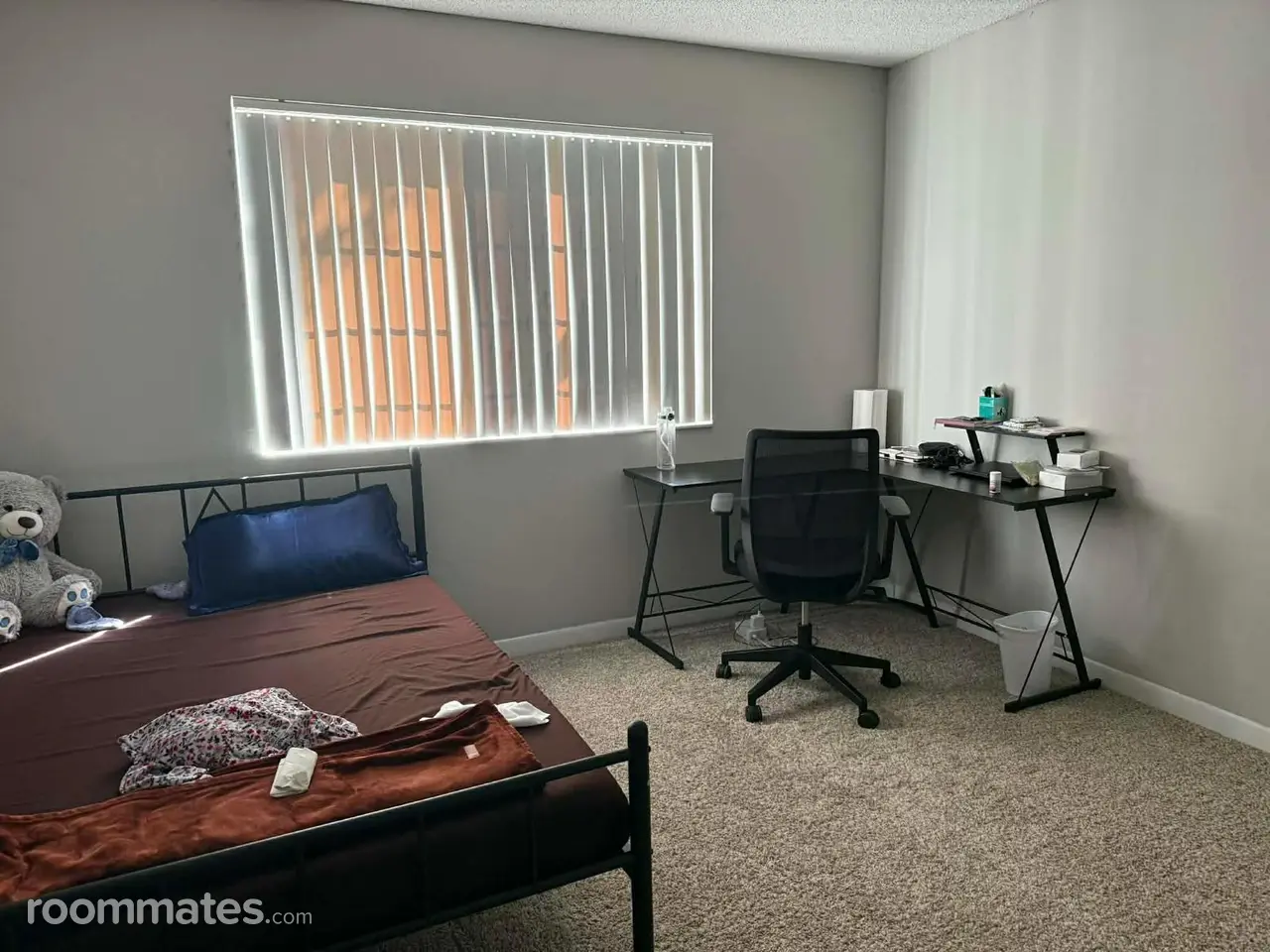 Profile photo 10 of 13