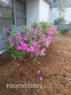 Room for rent in Sarasota, FL $1000, condo