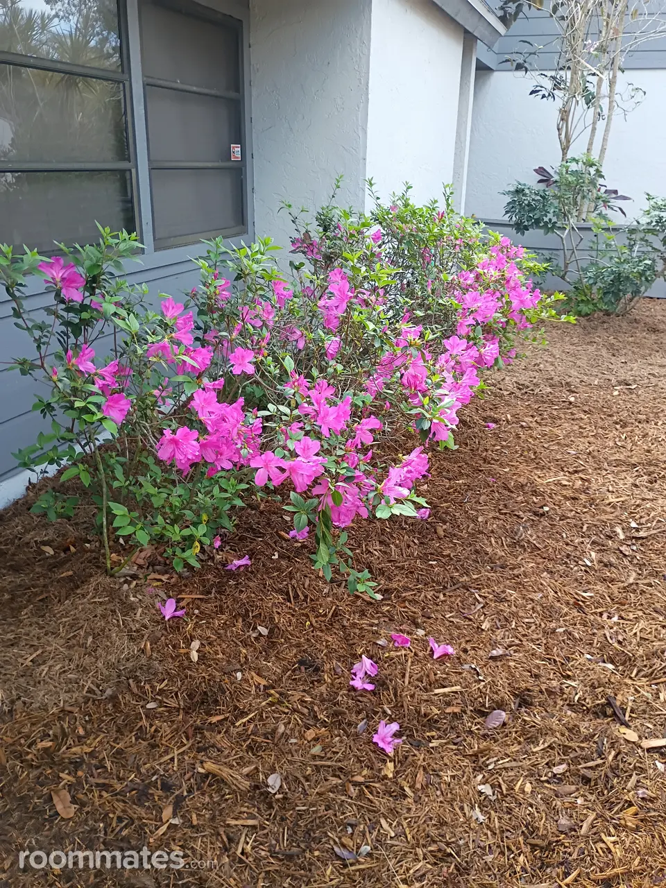 Profile photo 1 of 2