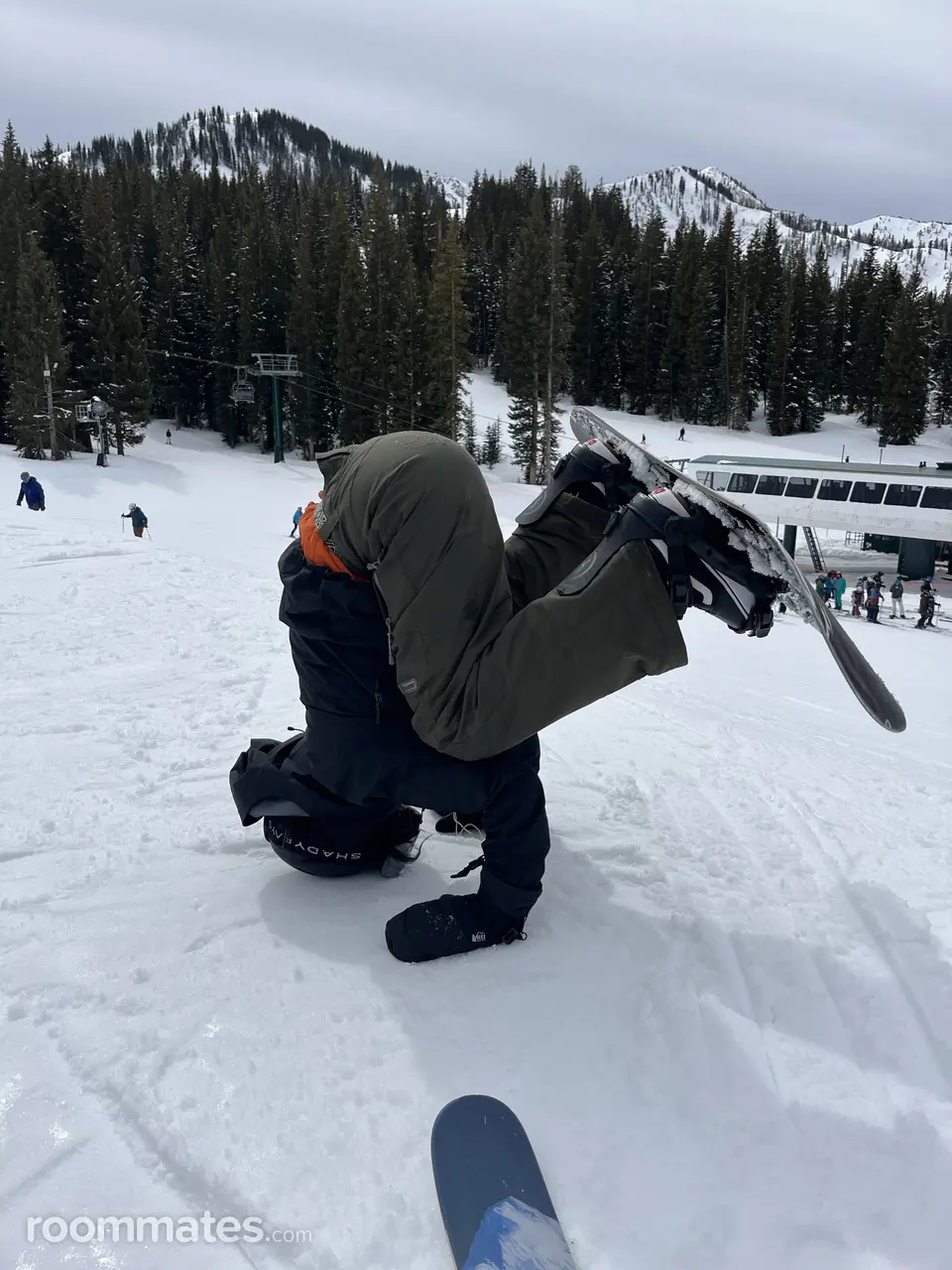 Profile photo 6 of 7