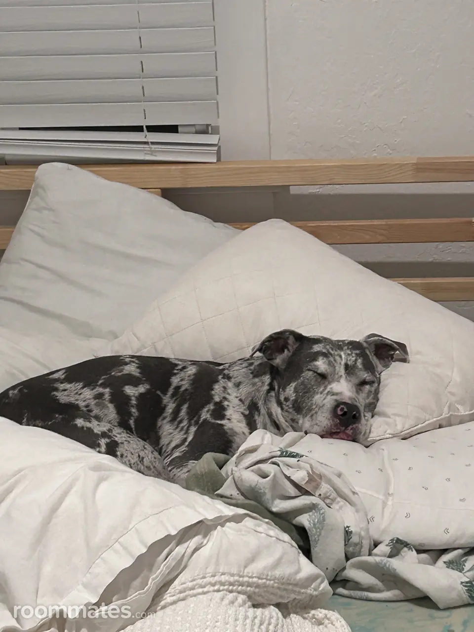 Profile photo 5 of 7