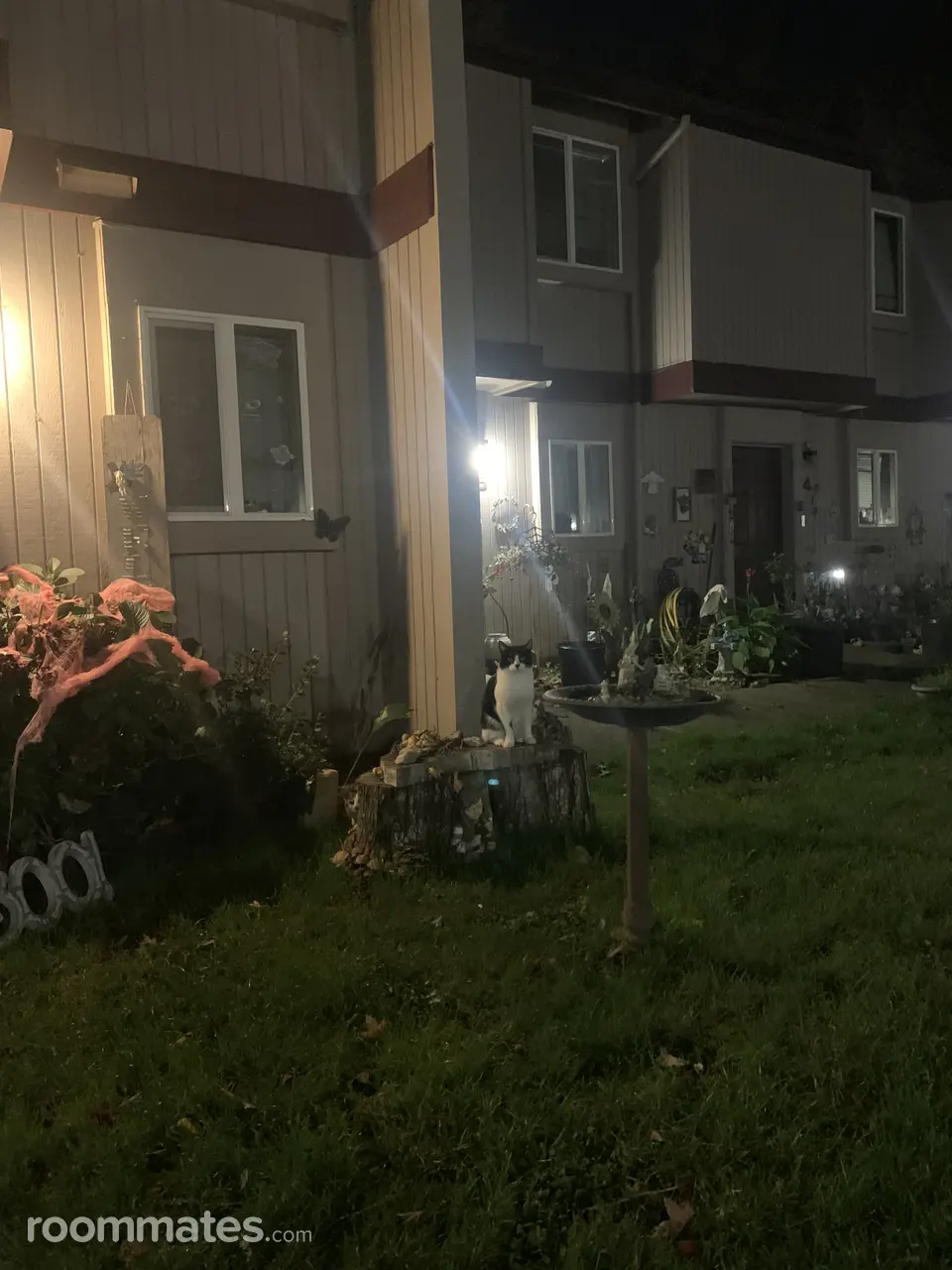 Profile photo 2 of 9