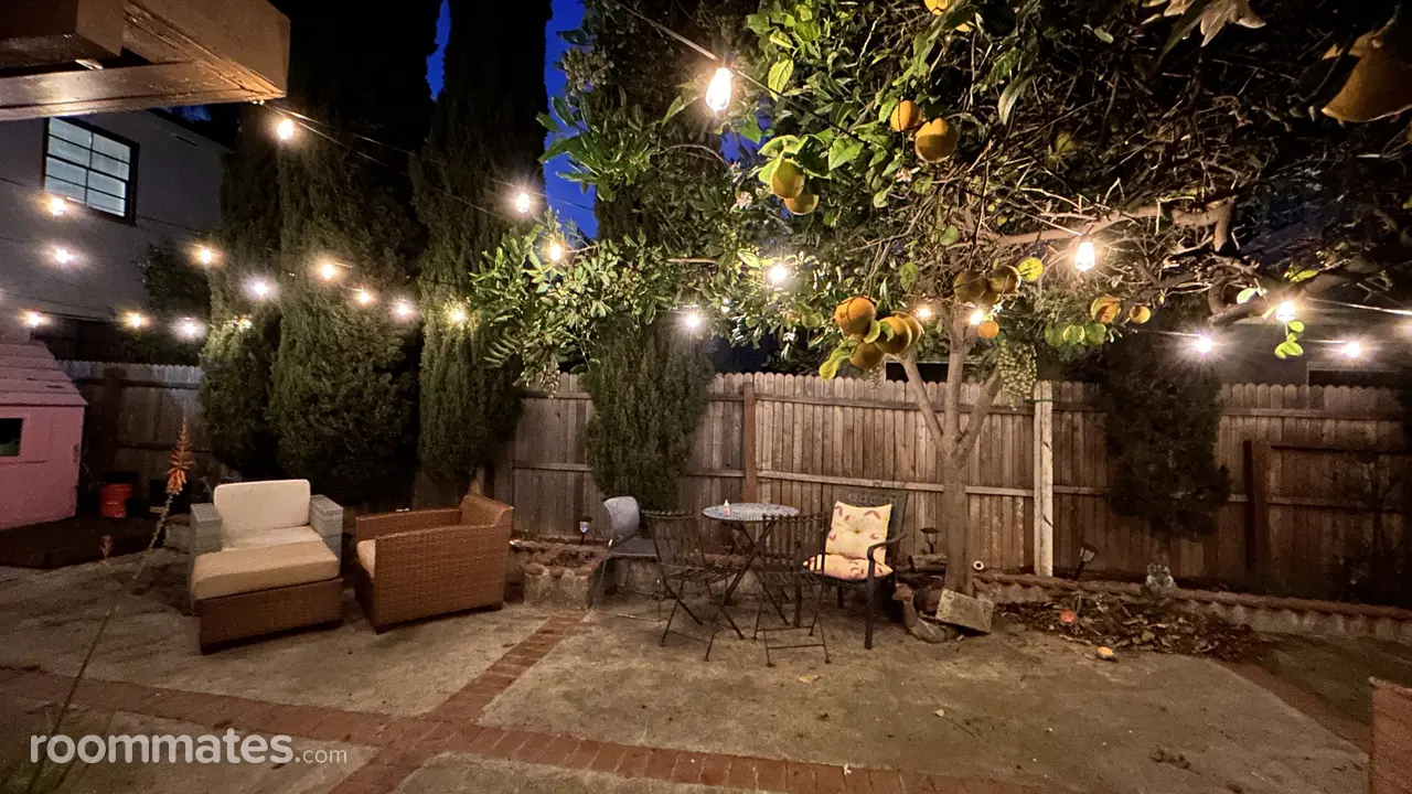 Profile photo 4 of 11