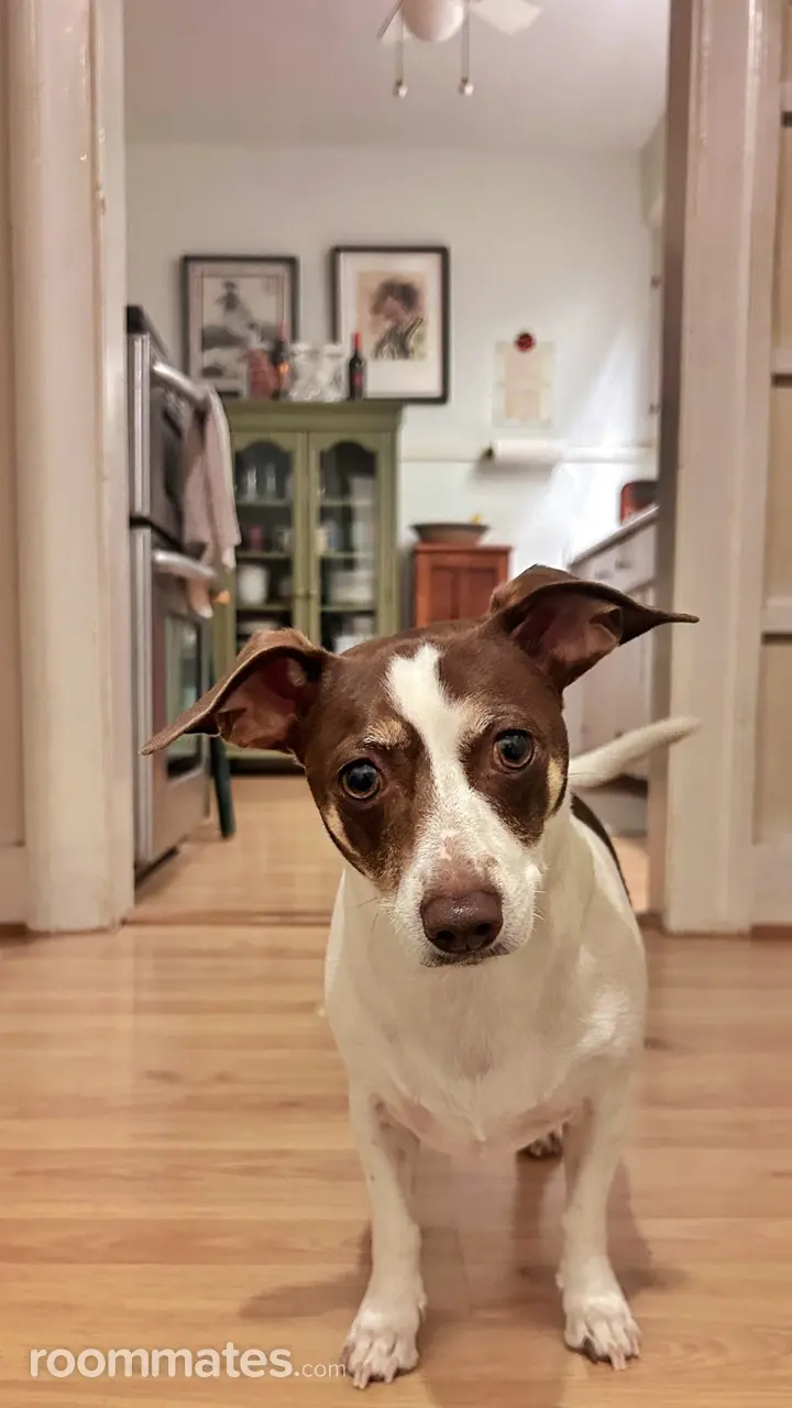 Profile photo 10 of 11