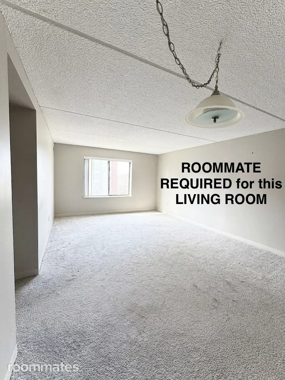 Profile photo 1 of 18