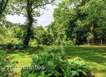 Room for rent in Brockton, MA $1200, house