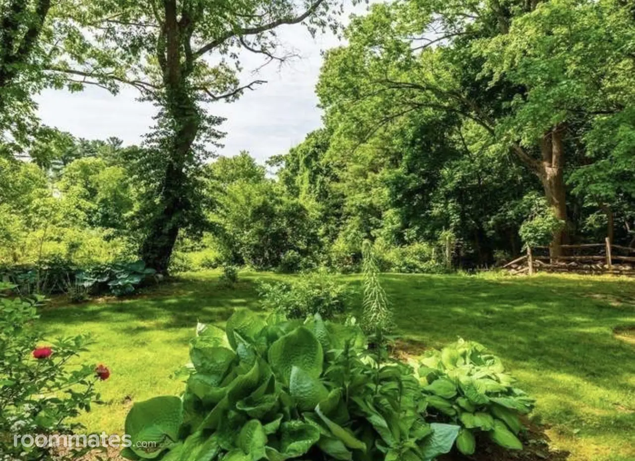 Profile photo 5 of 7