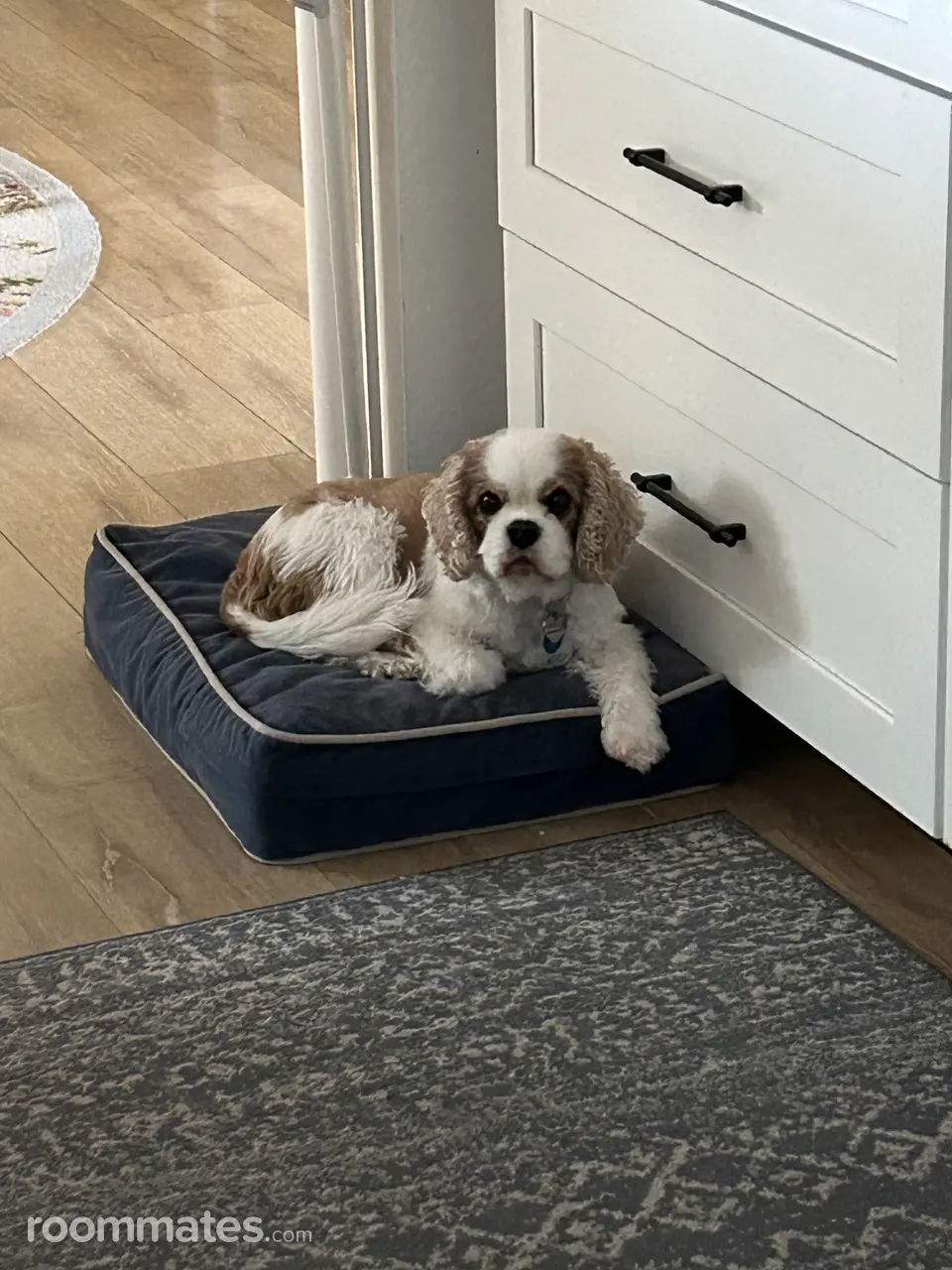 Profile photo 12 of 13