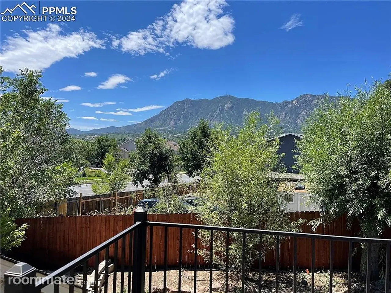 Profile photo 8 of 11