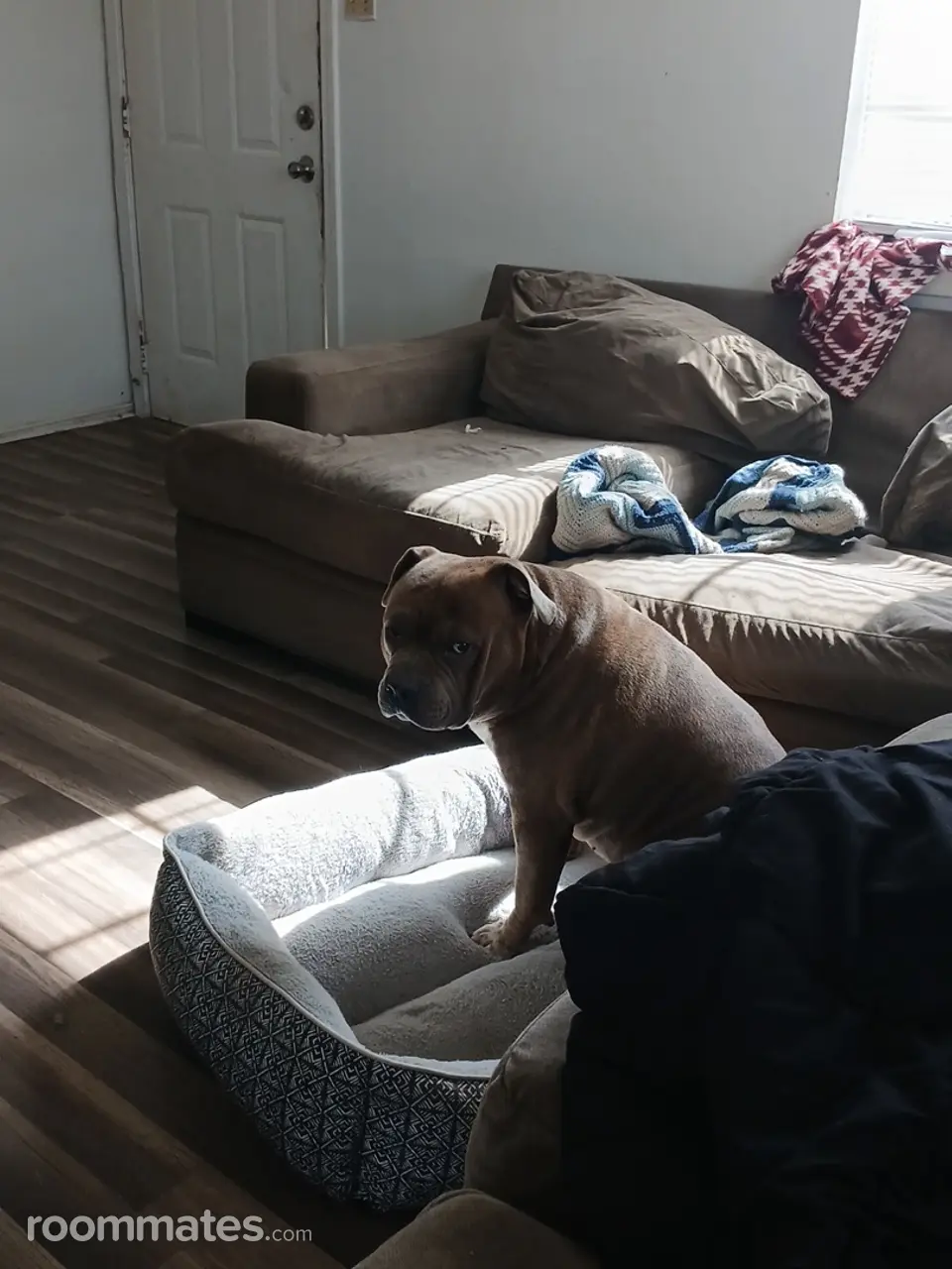 Profile photo 1 of 2