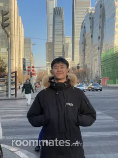 Roommate looking Chicago, IL, $1100