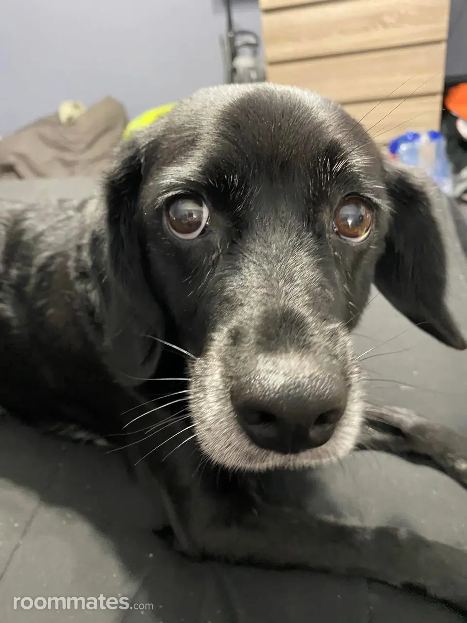 Profile photo 4 of 4