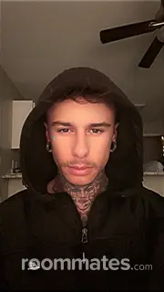 Roommate looking Reno, NV, $1100