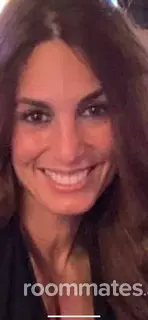 Roommate looking Schenectady, NY, $800