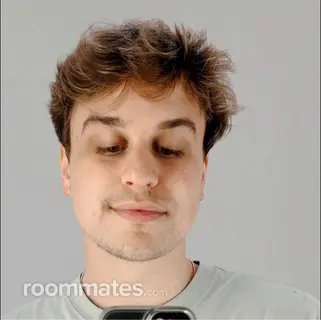 Room for rent in Battle Creek MI $500, apartment