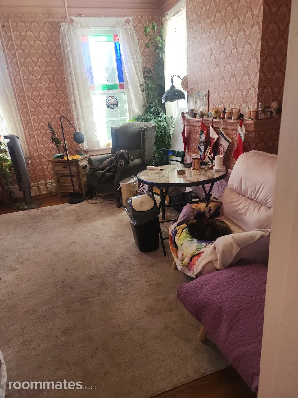 Profile photo 6 of 19