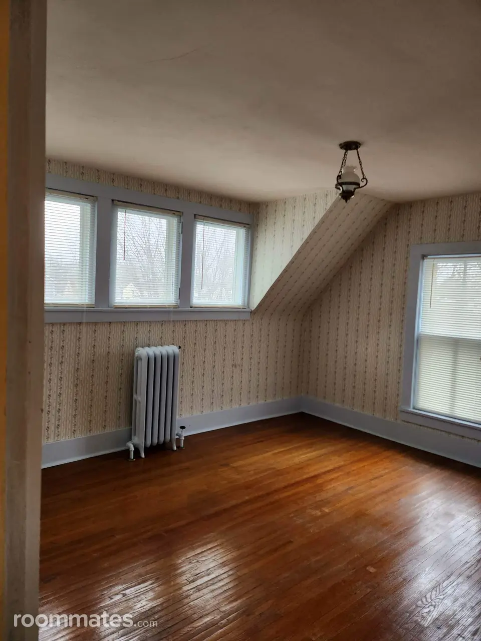 Profile photo 1 of 19