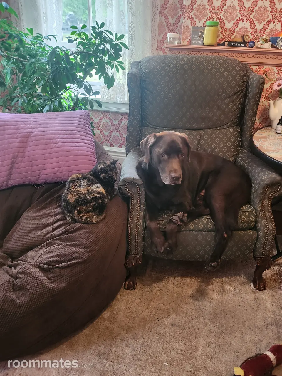 Profile photo 13 of 19