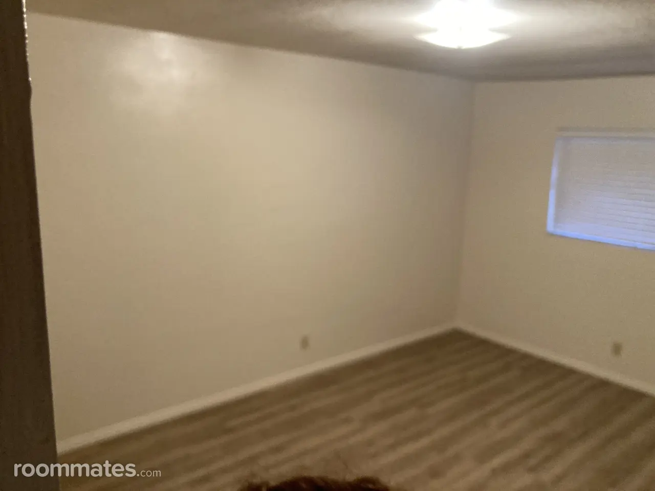 Profile photo 2 of 8