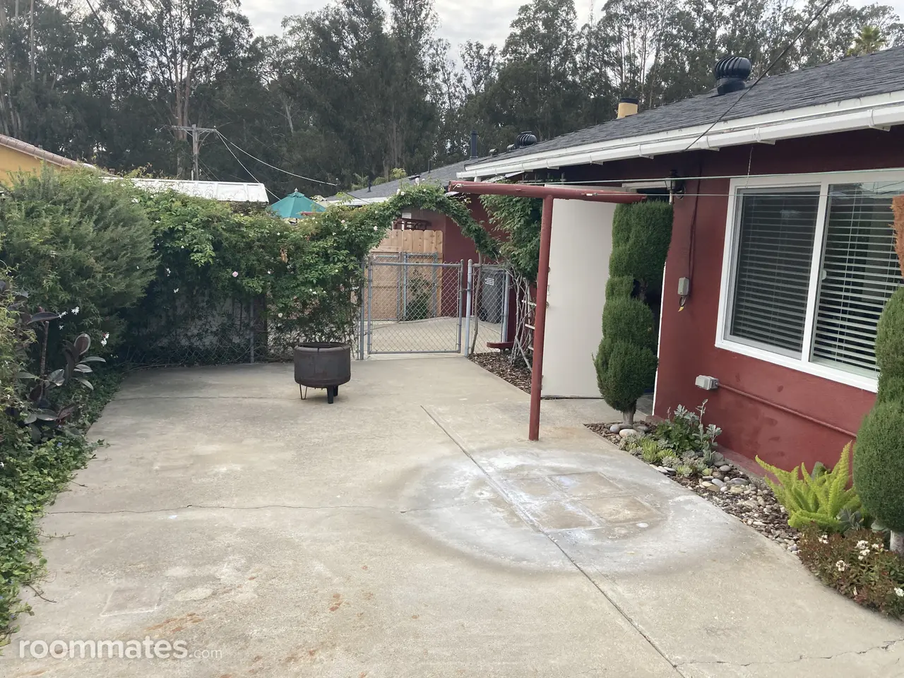 Profile photo 7 of 8