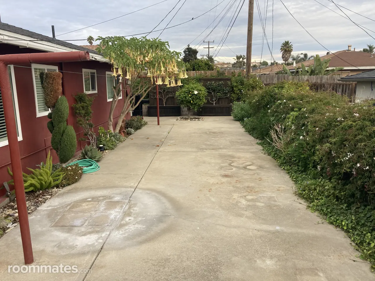 Profile photo 6 of 8