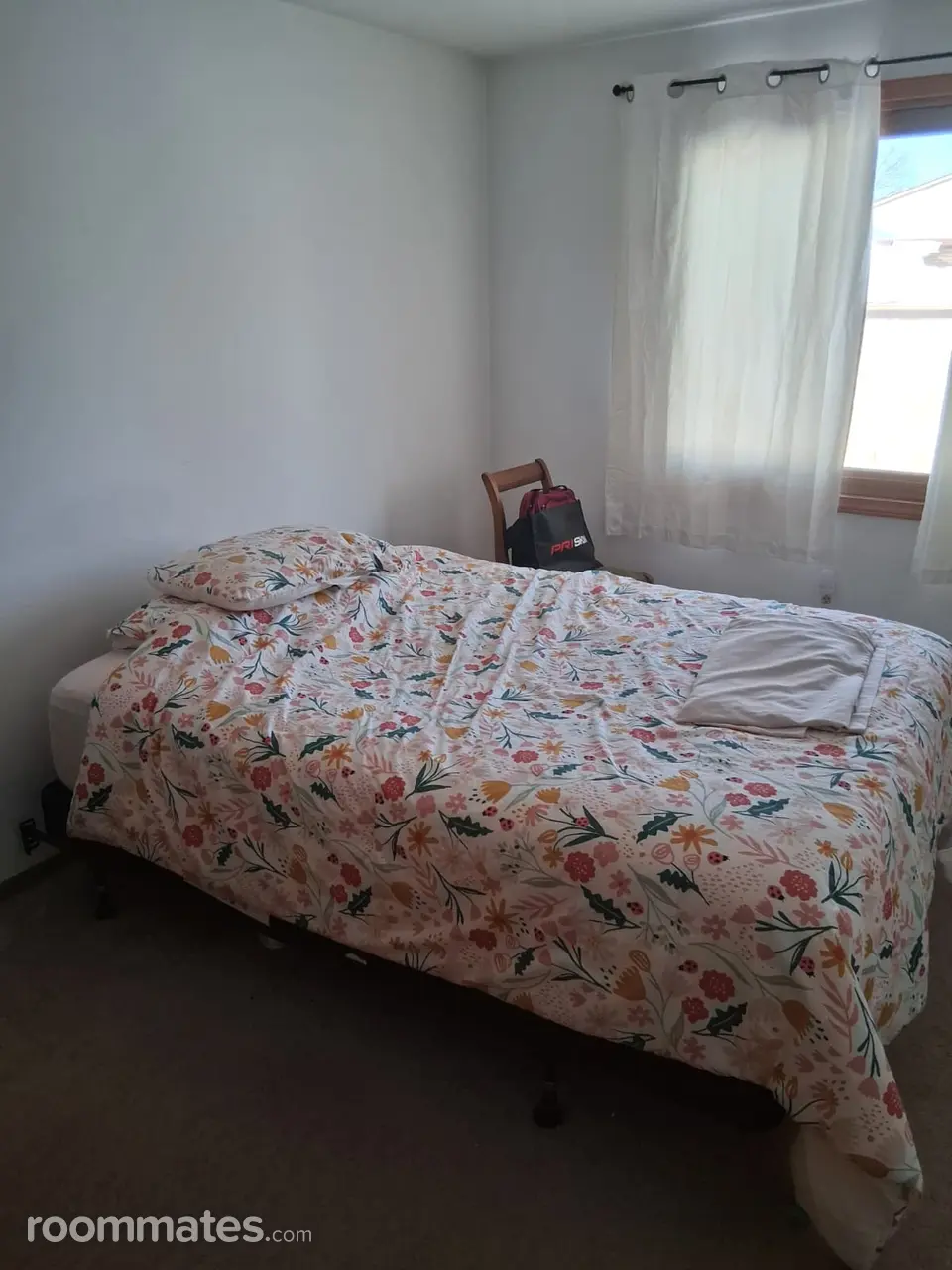 Profile photo 10 of 11