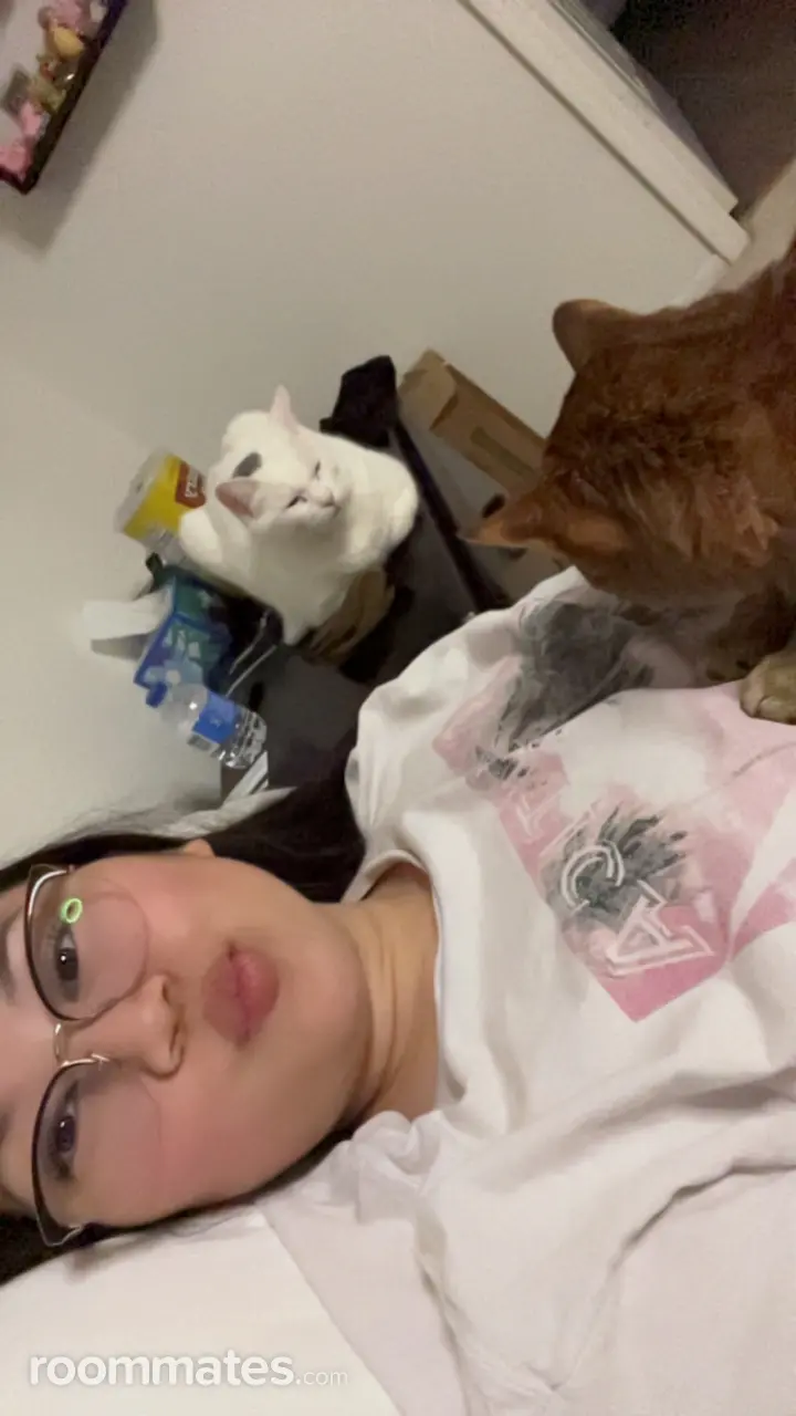 Profile photo 8 of 9