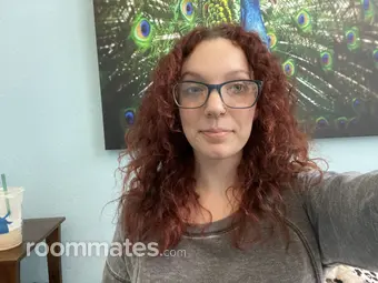 Roommate looking San Antonio, TX, $700