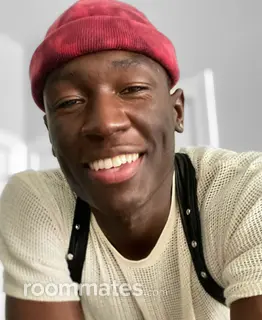 Roommate looking Columbus, OH, $1000