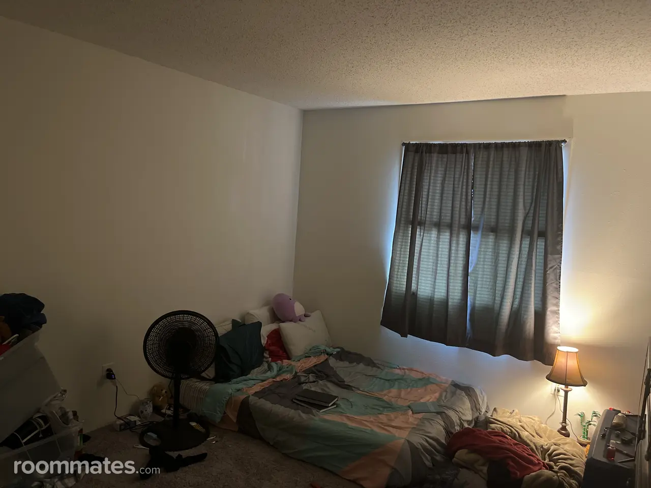 Profile photo 5 of 12