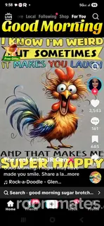 Roommate looking Louisville, KY, $2000