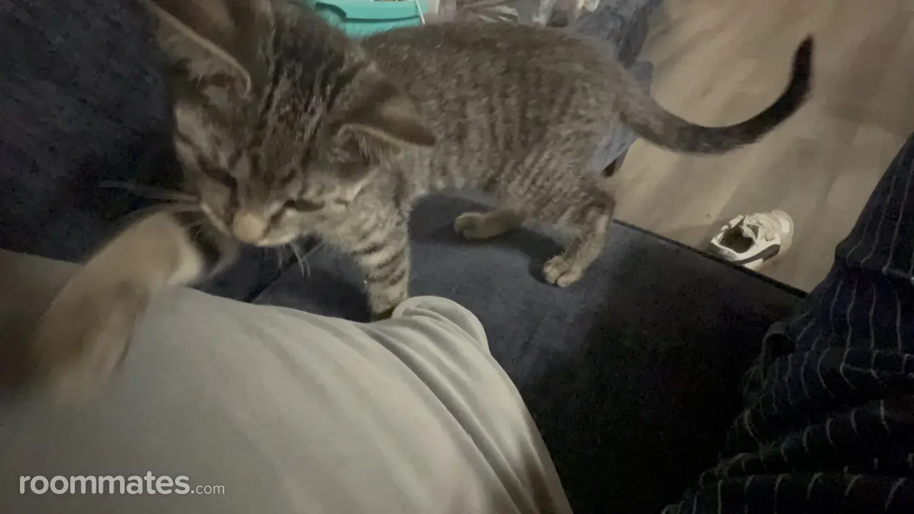 Profile photo 3 of 11