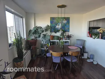 Room for rent in Alexandria, VA $915, condo