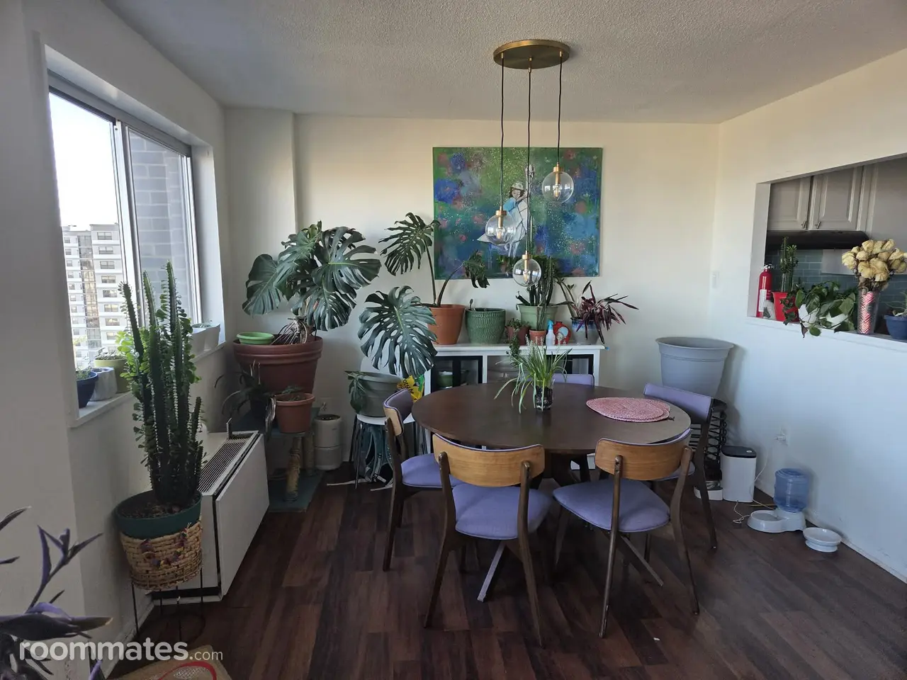 Profile photo 4 of 10