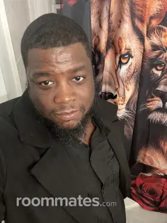 Roommate looking Chicago, IL, $800