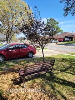 Room for rent in Irving, TX $1175, other