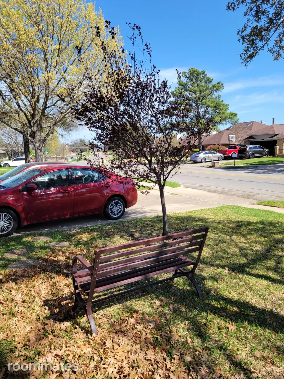 Profile photo 3 of 6