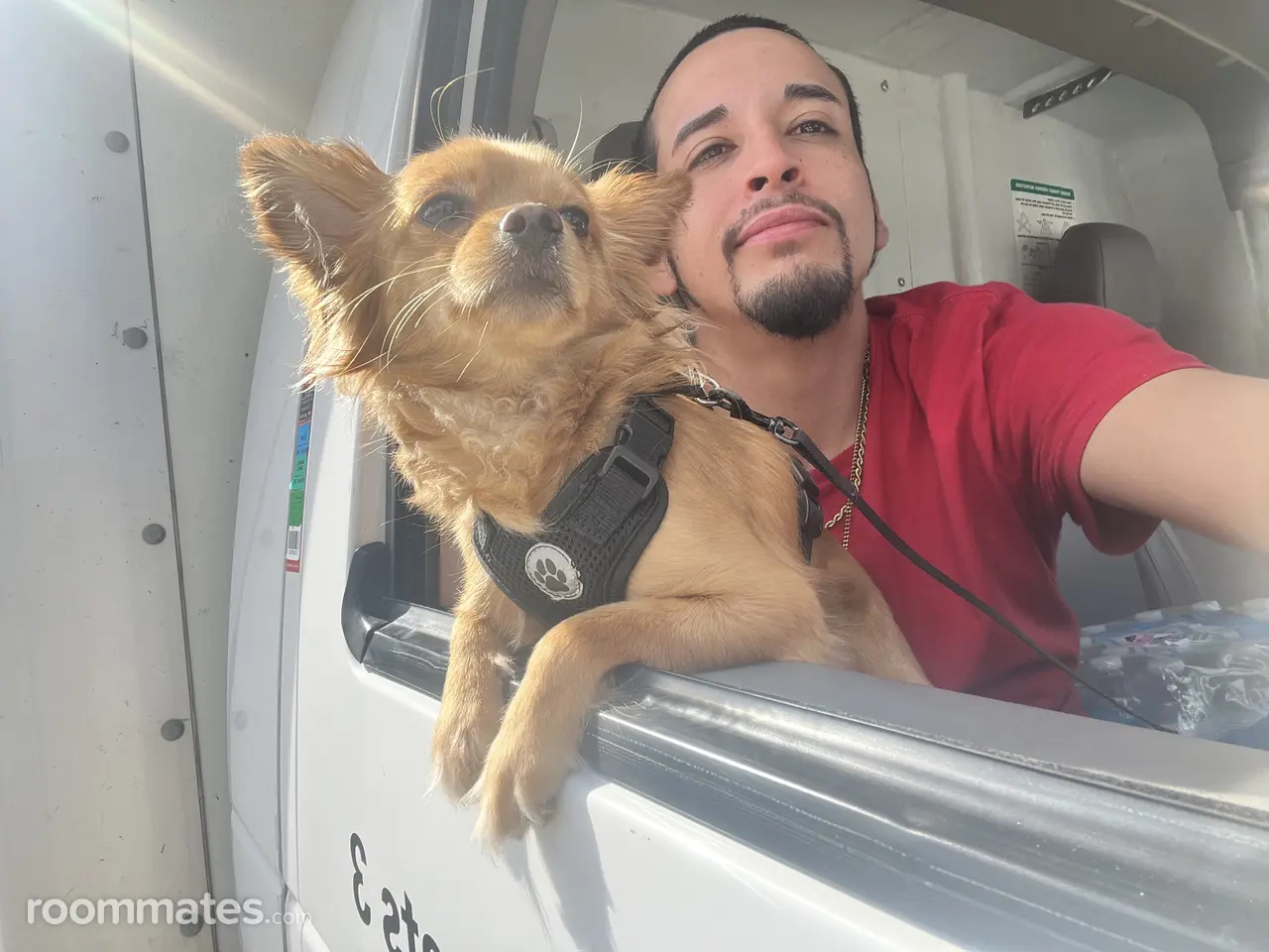 Profile photo 9 of 16